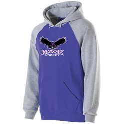 Alternative view of Hawk Hockey Youth Banner Hoodie