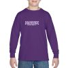 Hawk Hockey Youth Heavy Cotton™ Youth Long Sleeve T-Shirt