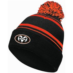 Alternative view of Rockford Homecoming Beanie