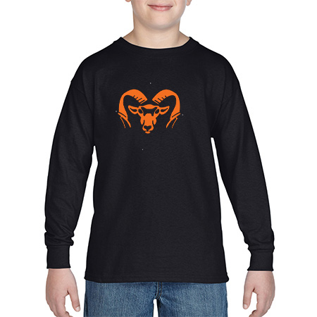 Rockford Youth Heavy Cotton™ Youth Long Sleeve T-Shirt - Image 11