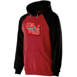 Alternative view of Sledwings Youth Banner Hoodie