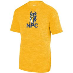 Alternative view of Northpointe Christian Youth YOUTH SHADOW TONAL HEATHER TRAINING TEE
