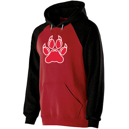 Northview Youth Banner Hoodie - Image 5