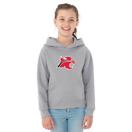 Northview Youth NuBlend® Youth Hooded Sweatshirt - Image 50