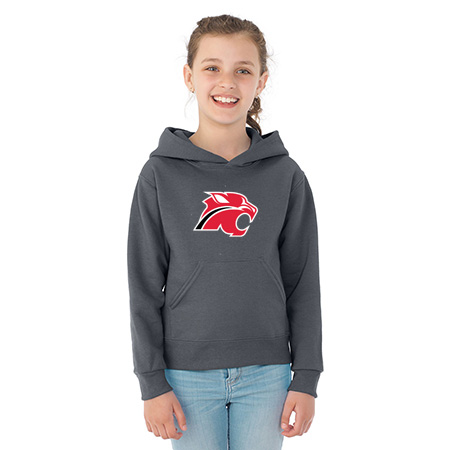 Northview Youth NuBlend® Youth Hooded Sweatshirt - Image 29