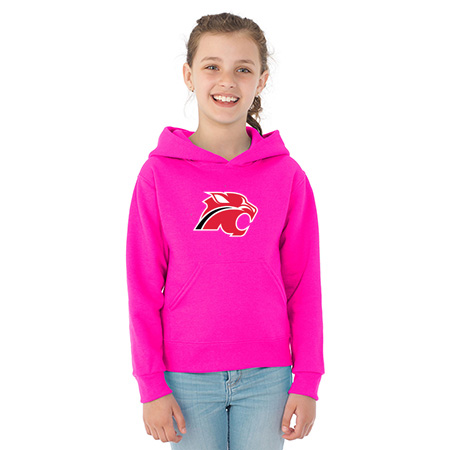 Northview Youth NuBlend® Youth Hooded Sweatshirt - Image 49