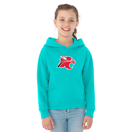 Northview Youth NuBlend® Youth Hooded Sweatshirt - Image 4