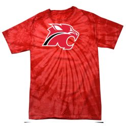 Alternative view of Northview Youth Youth Spider Tie Dye T-Shirt