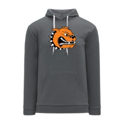 Byron Center NHL Color Hoodie