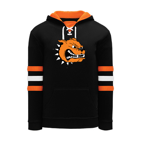 Byron Center NHL Color Hoodie - Image 10
