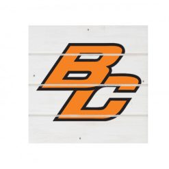 Byron Center White Wood Pallet Coaster  Set of 1  no holder