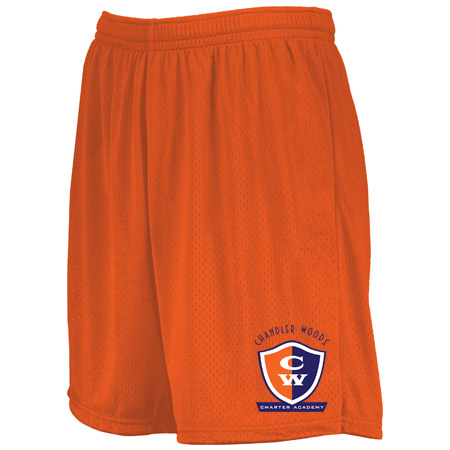 Chandler Woods Youth Youth Modified Mesh Shorts - Image 5