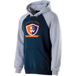 Chandler Woods Youth Banner Hoodie