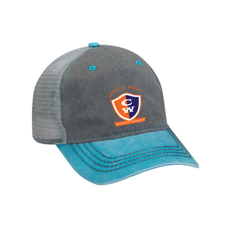 Chandler Woods Heathered/Distressed Endeavor Cap - Image 2