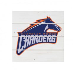 Chandler Woods White Wood Pallet Coaster  Set of 1  no holder