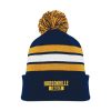 Hudsonville Hockey Toque