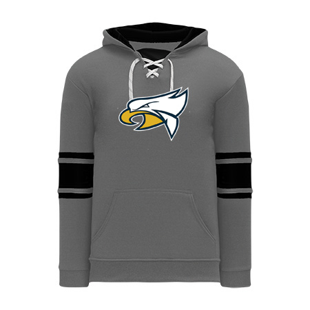Hudsonville NHL Color Hoodie - Image 43