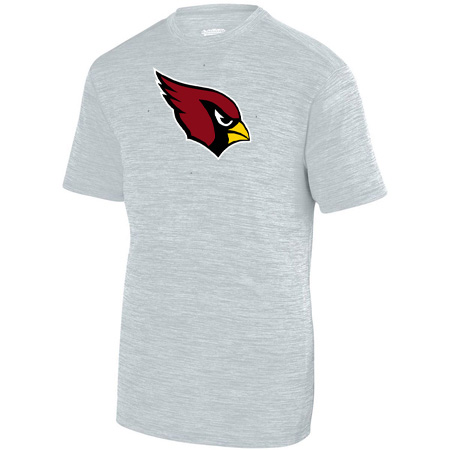 Orchard View Youth YOUTH SHADOW TONAL HEATHER TRAINING TEE - Image 5