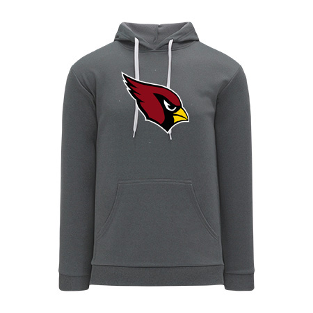 Orchard View NHL Color Hoodie - Image 5