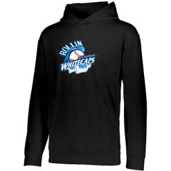 Alternative view of MFB West Michigan Rollin Whitecaps Youth YOUTH WICKING FLEECE HOODIE
