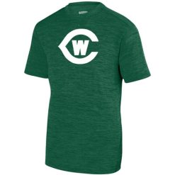 West Catholic Youth YOUTH SHADOW TONAL HEATHER TRAINING TEE