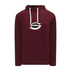 Alternative view of Sarasota Football   NHL Color Hoodie