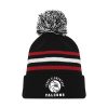 Ferry Elementary Hockey Toque