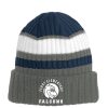Ferry Elementary Ribbed Tailgate Beanie