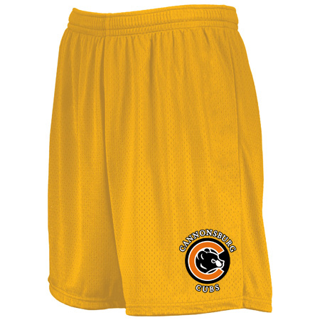 Cannonsburg Youth Youth Modified Mesh Shorts - Image 4