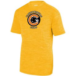 Cannonsburg Youth YOUTH SHADOW TONAL HEATHER TRAINING TEE