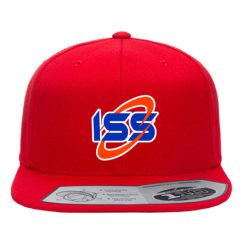 ISS Snap Back Flat Bill Trucker