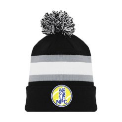 Alternative view of NPC Tennis Hockey Toque