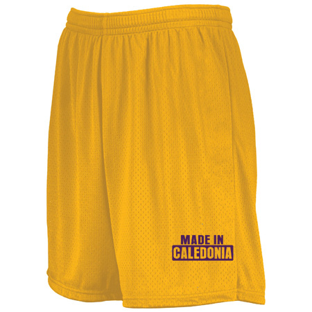Caledonia Youth Youth Modified Mesh Shorts - Image 6