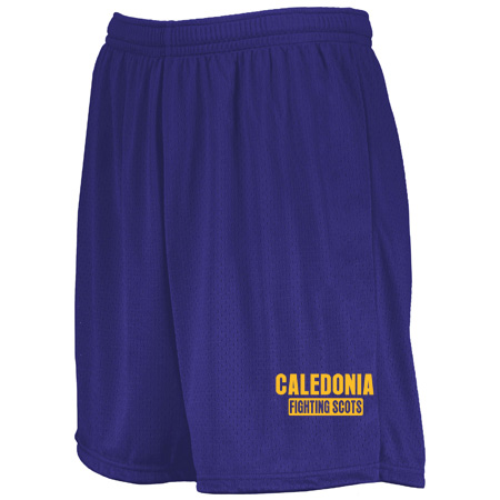 Caledonia Youth Youth Modified Mesh Shorts - Image 5