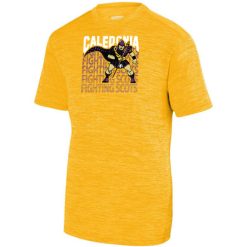 Alternative view of Caledonia Youth YOUTH SHADOW TONAL HEATHER TRAINING TEE