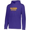 Caledonia Youth YOUTH WICKING FLEECE HOODIE