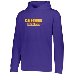 Caledonia Youth YOUTH WICKING FLEECE HOODIE