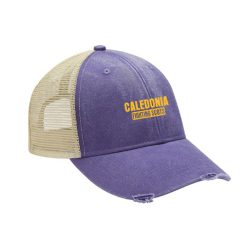 Caledonia Heathered/Distressed Ollie Cap