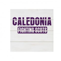 Caledonia White Wood Pallet Coaster  Set of 1  no holder