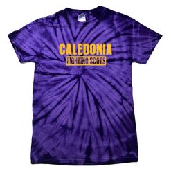 Alternative view of Caledonia Youth Youth Spider Tie Dye T-Shirt