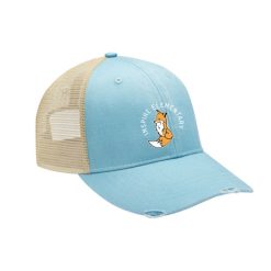 Inspire Elementary Heathered/Distressed Ollie Cap