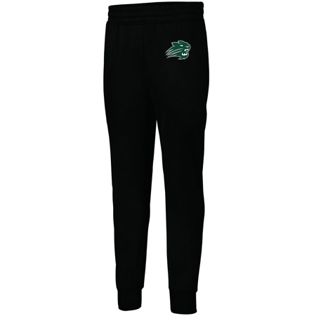 Jenison Adult Performance Fleece Jogger - Image 4