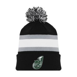Alternative view of Jenison Hockey Toque