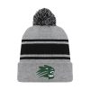 Jenison Hockey Toque