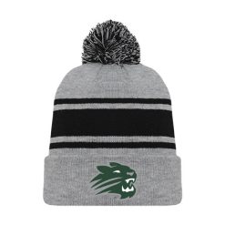 Jenison Hockey Toque
