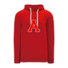 Allendale NHL Color Hoodie
