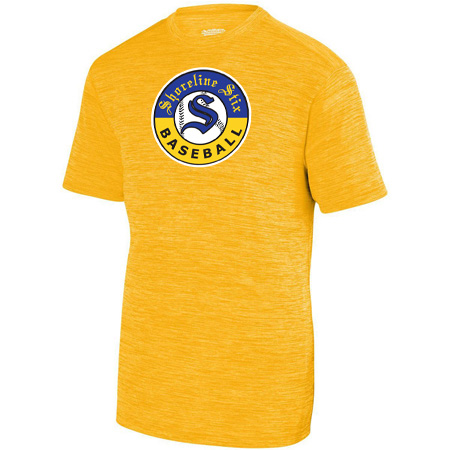 Shoreline Stix Youth YOUTH SHADOW TONAL HEATHER TRAINING TEE - Image 3