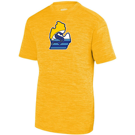 Shoreline Stix Youth YOUTH SHADOW TONAL HEATHER TRAINING TEE - Image 2