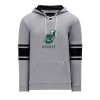 Jenison Hockey NHL Color Hoodie