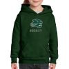 Jenison Hockey Youth Heavy Blend™ Youth Hooded Sweatshirt